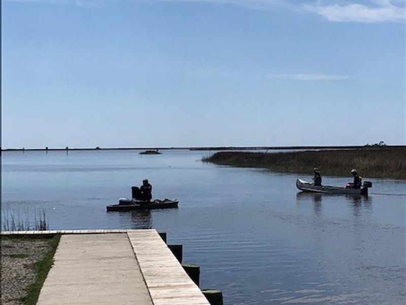 Fishing on the bayou is one of the many things to do in the park and very close to the campground.