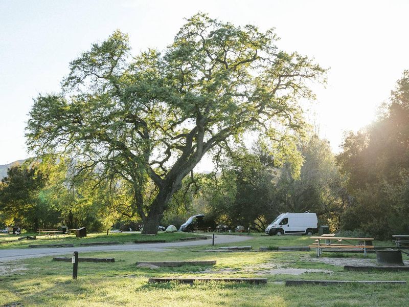 Spring at Pinnacles Campground