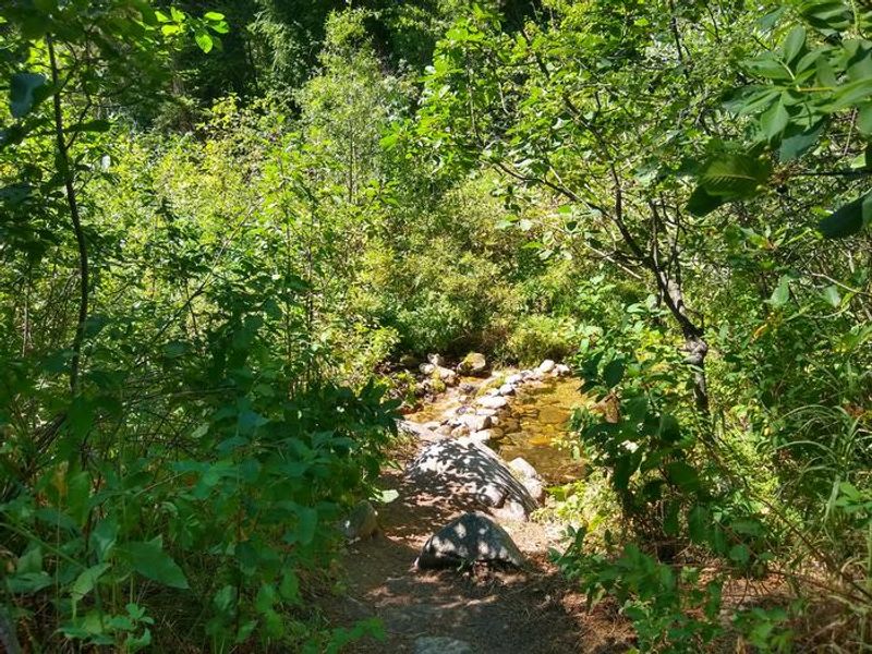 Site 2 at Bad Bear is close to a creek.