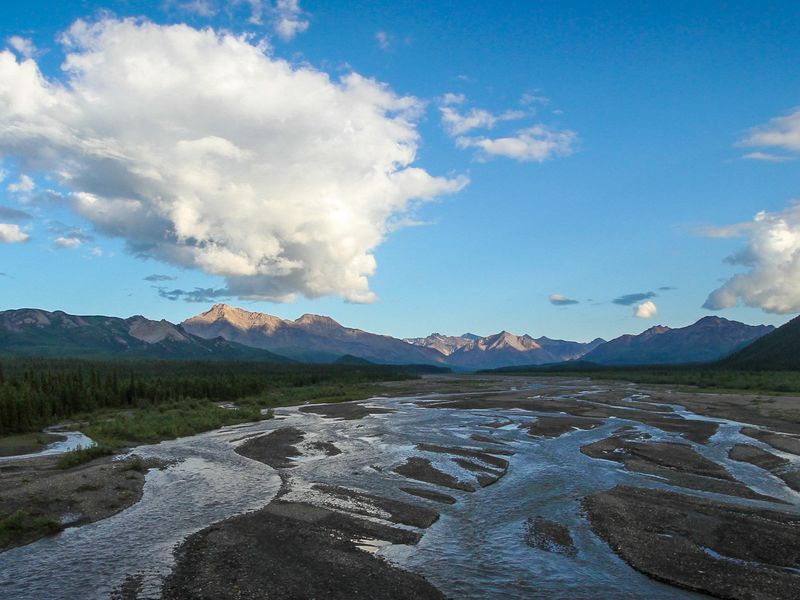 A short walk west of Teklanika (Tek) Campground is Tek River, which flows northward from the Alaska Range.