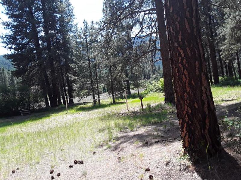 Sloway volleyball and horseshoe area.