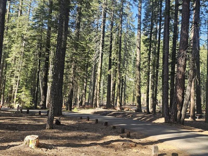 Gurnsey Creek Campground