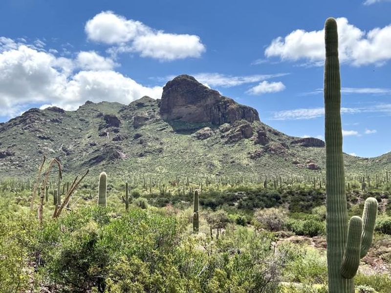 The views from Alamo Canyon are stunning year-round!