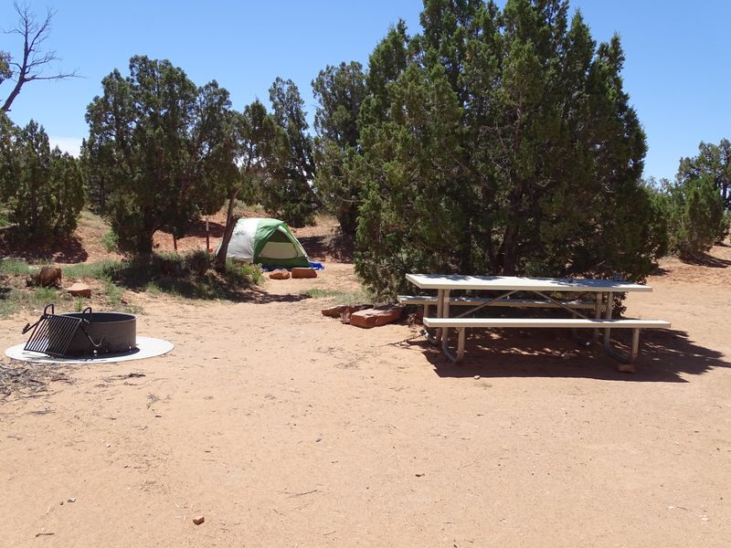 A campsite at Cedar Mesa campground