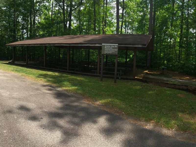 Yellowjacket Shelter