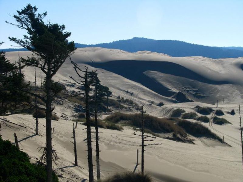 Oregon Dunes National Recreation Area