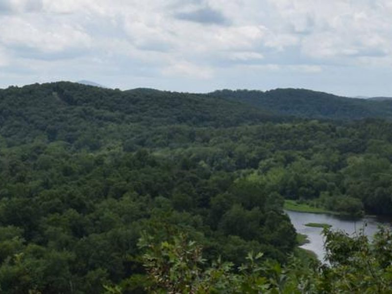 Potomac River near 15 Mile Creek