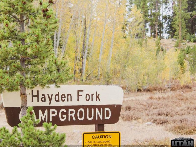Hayden Fork Campground