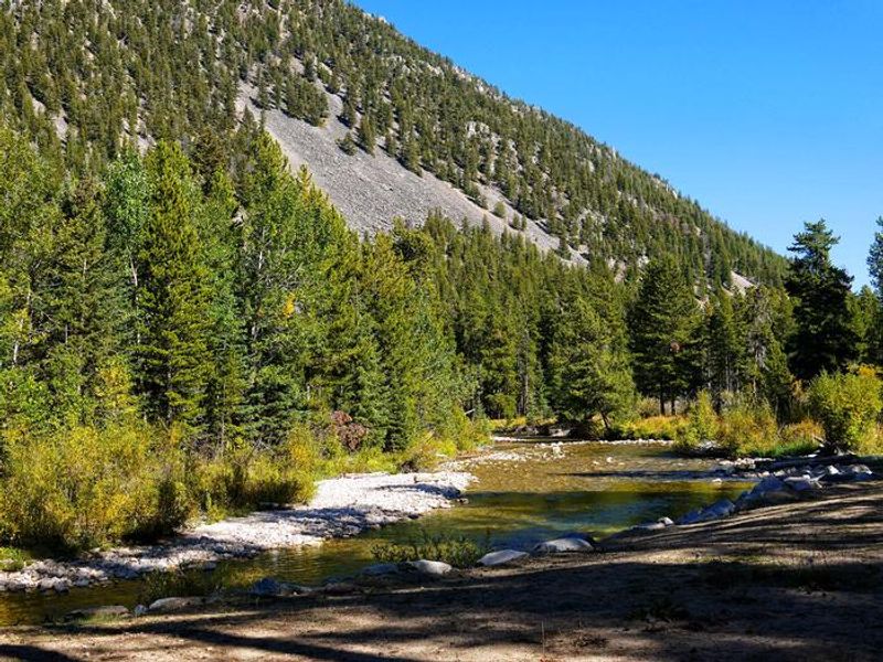 Basin Campground - River