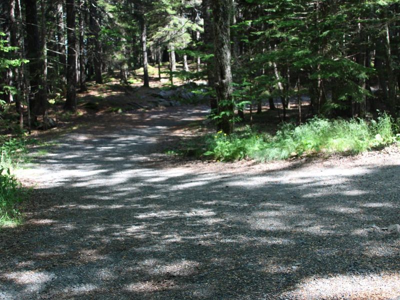 Footpath to coast across Park Loop Road near lower A-Loop