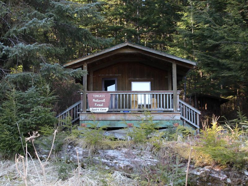 Spurt Cove in early spring