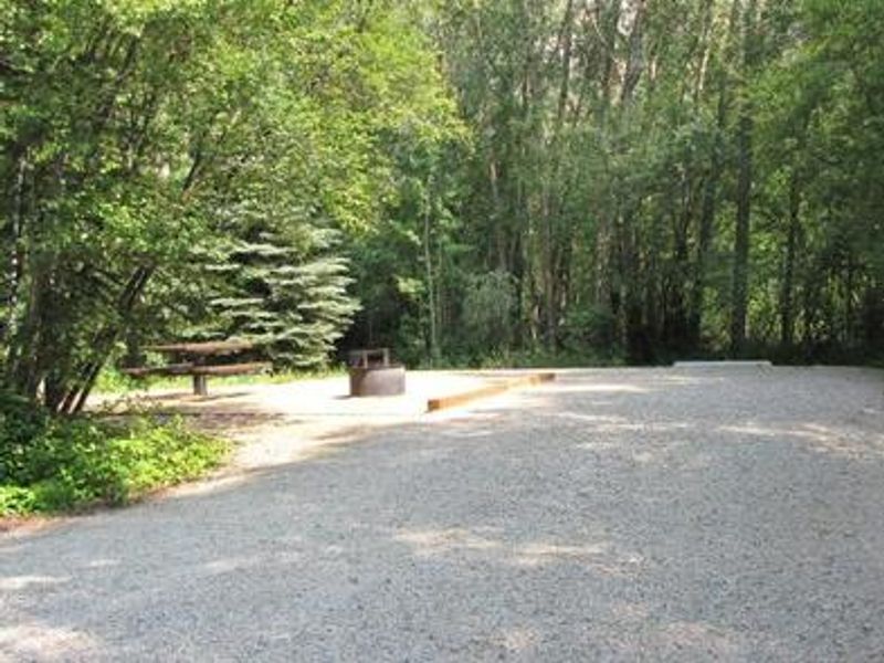 Campsite surrounded by trees with picnic table and fire pit