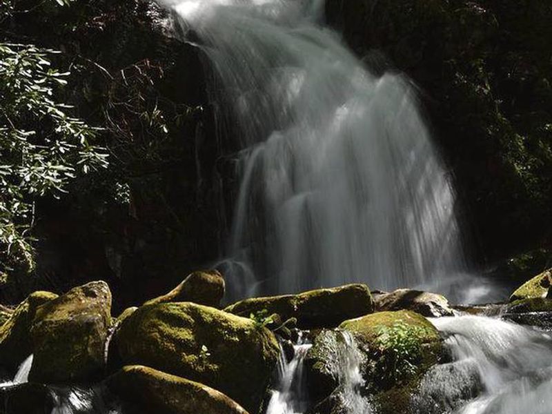 Take Big Creek trail from the campground to get to Mouse Creek Falls. 