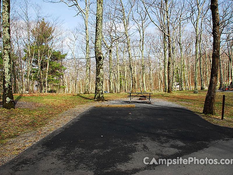 Lewis Mountain Campsite #8