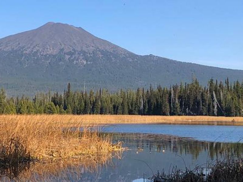 Mt. Bachelor from Hosmer Lake