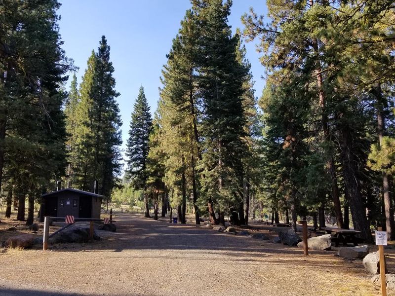 Blue Lake Campground Group Site main entrance as seen from the main campground loop road. Large Ponderosa Pines provide plenty of shade. 