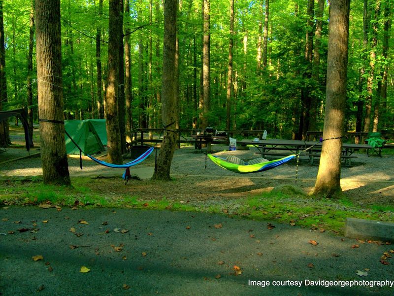 Group sites available. Search Cosby Group Camp. 