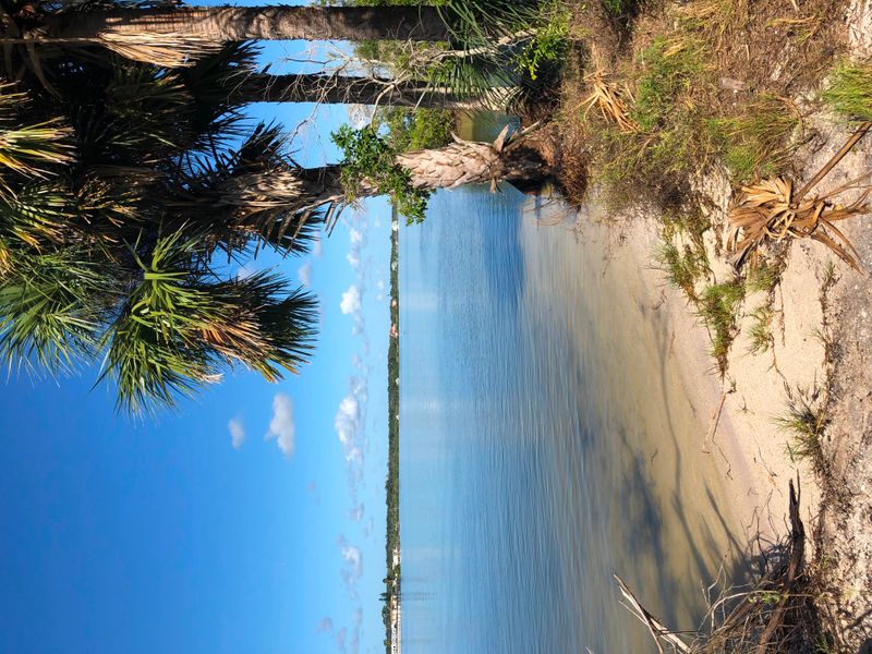 Shoreline, palm trees and a view looking west across the Intracoastal Waterway. Seminole Rest Historic site is viewed as a little yellow dot across the waterway.