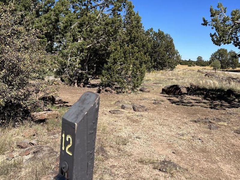 Forked Pine Campground - Site 12