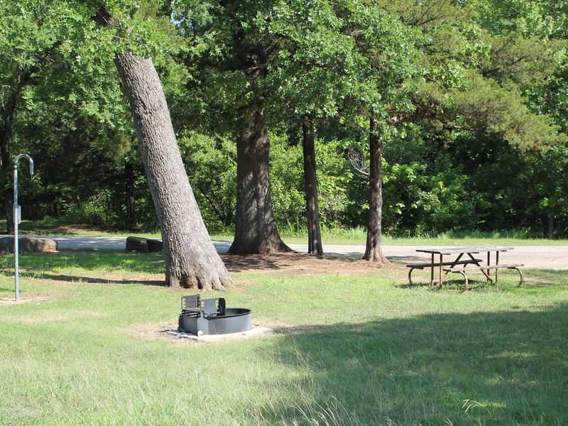 Central Group Campground Site #3