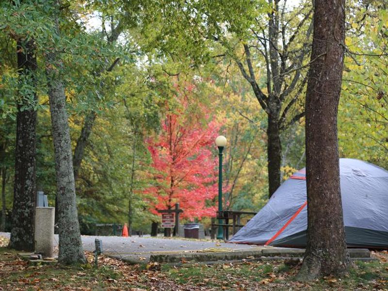 Camping in Hot Springs National Park