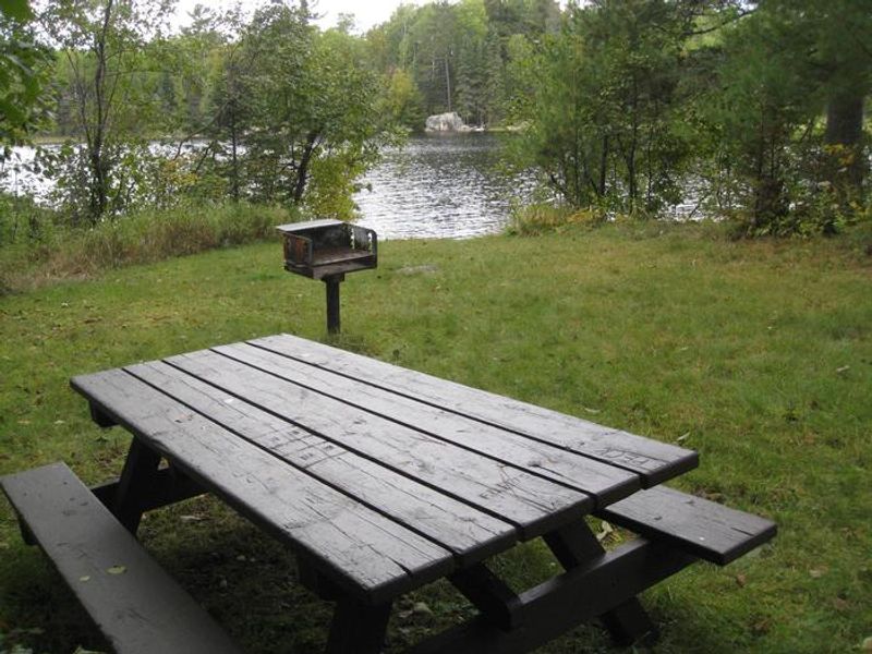 Picnic area with table and grill.