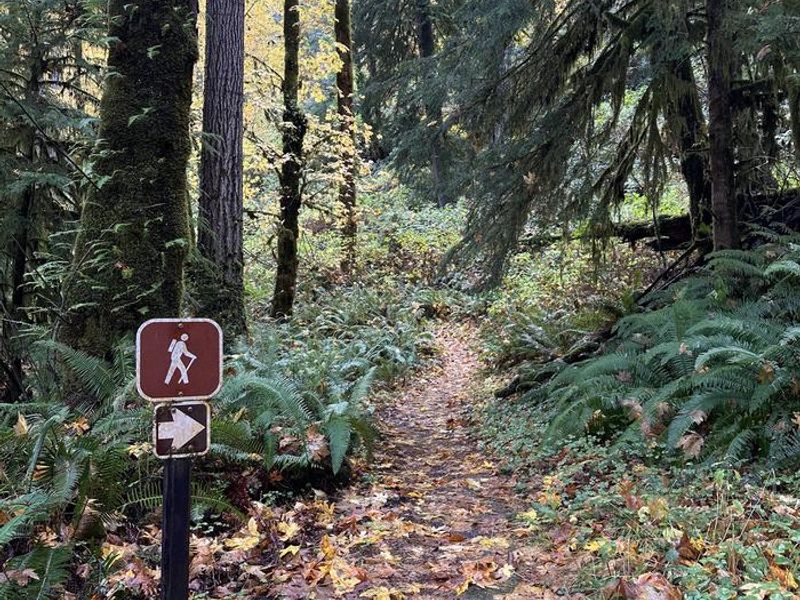 Trailhead sign to waterfall in the foreground with view of the paved trail.