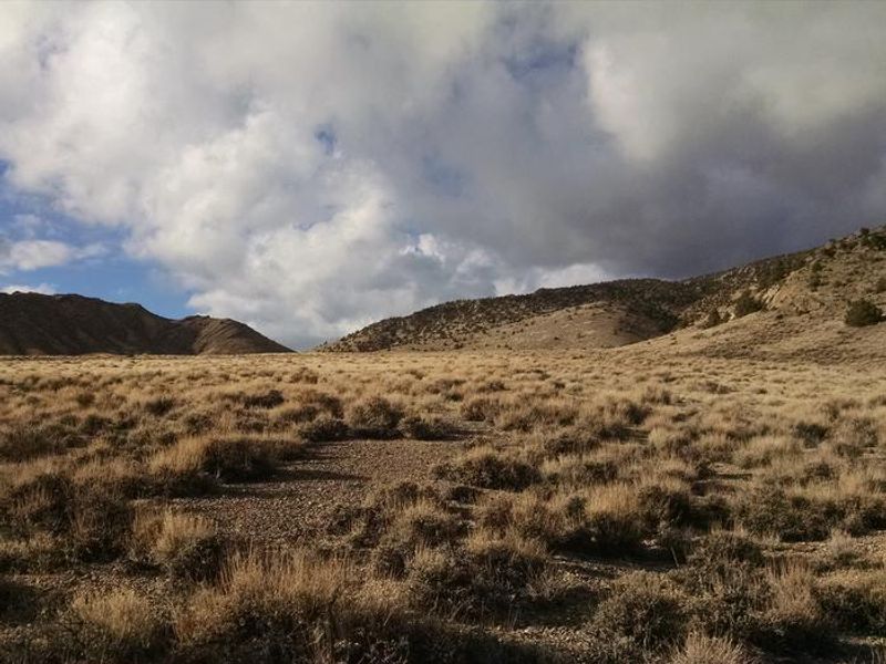 Sage and clouds at the foot of the Snake Range