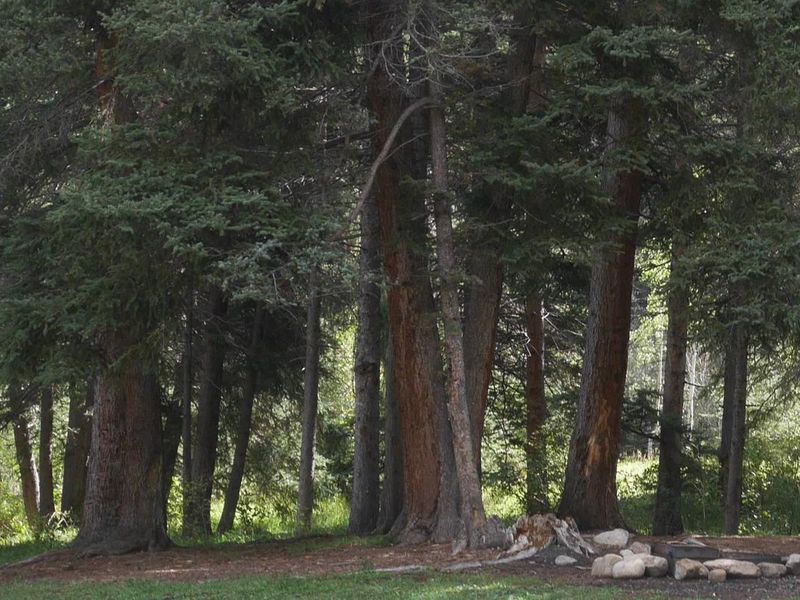 Santa Barbara Campground