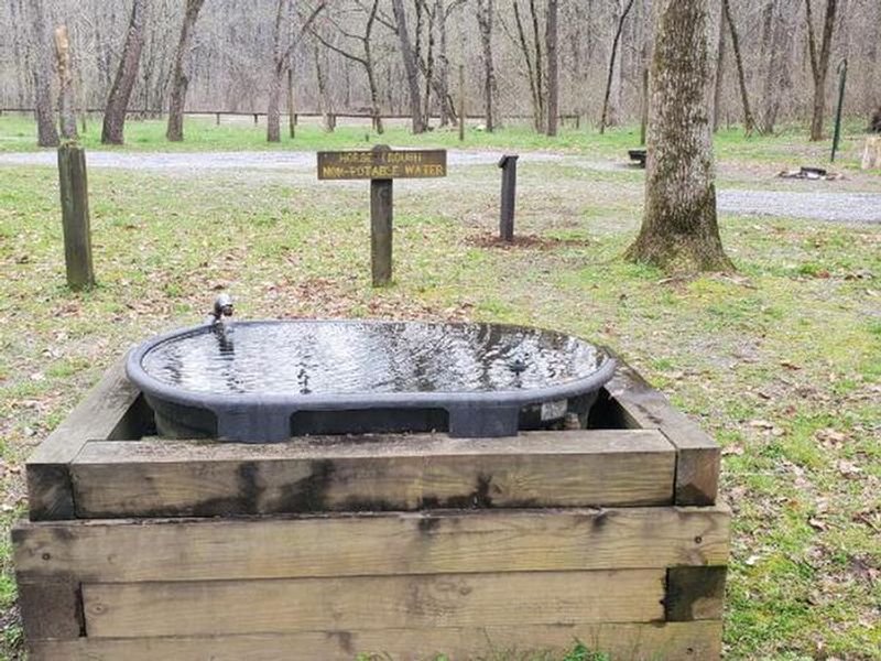 A photo of facility Cottonwood Patch Campground 