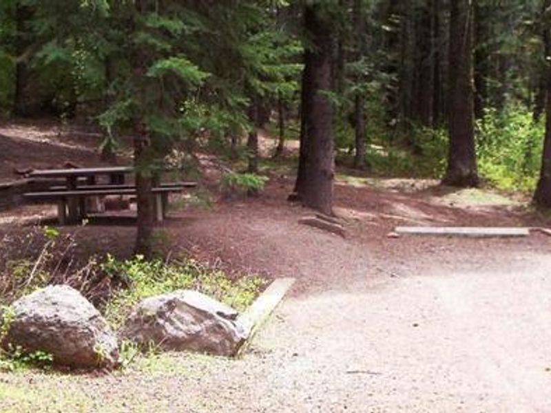 Campsite 4 in Spring Creek Campground surrounded by Ponderosa Pine trees.