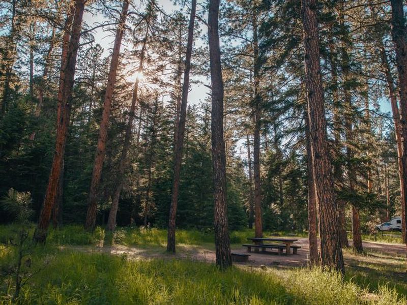 Boxelder Creek Near Campground Entrance
