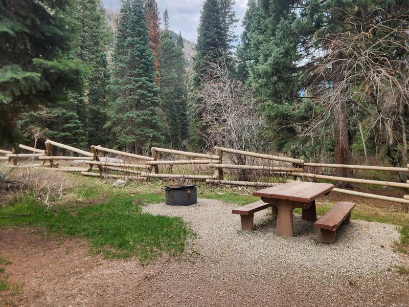 Typical camp site in Kroeger campground with picnic table and fire ring