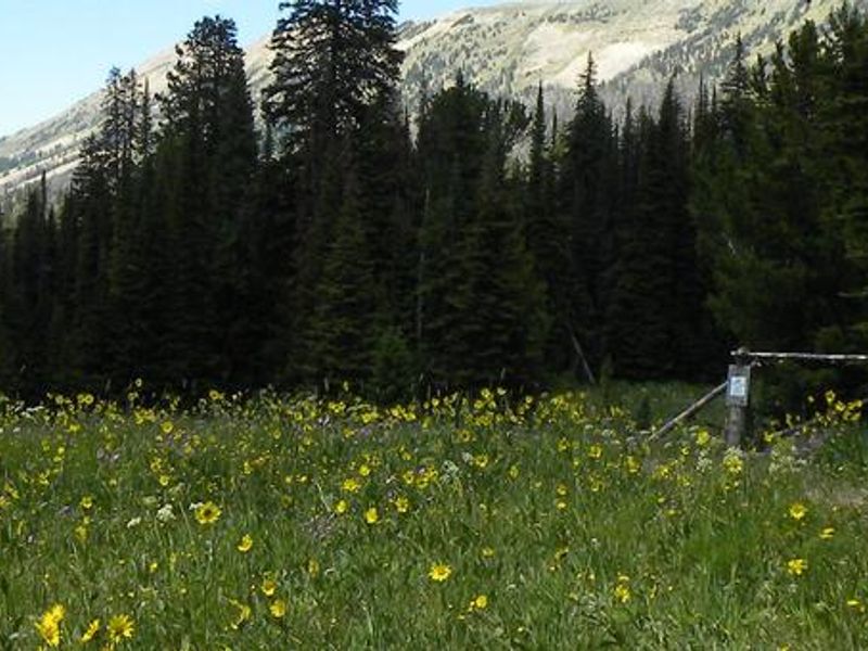 View From Cabin Creek Cabin