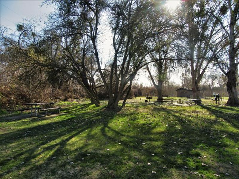 Large, open day use area at McHenry Avenue Recreation Area