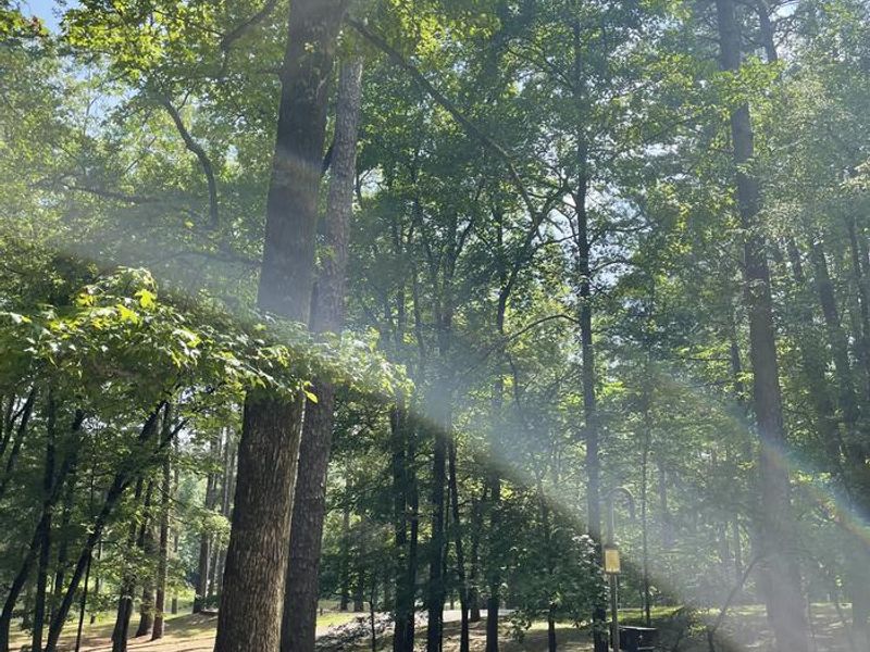 First Come First Serve side.