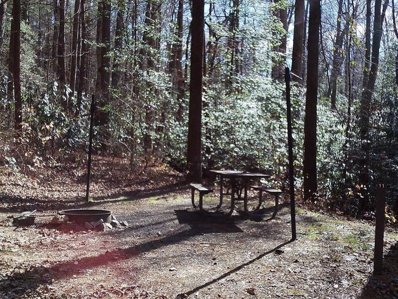 Visit at Site #11 where you cross the little creek and go past 10 to be a little apart from the rest, a little hideaway. 