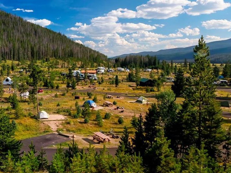 Timber Creek Campground.