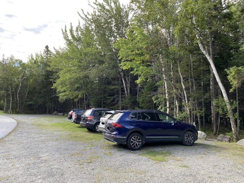 Cars parked in the D loop parking lot. All D loop sites require campers to park in the parking lot and walk to their camp site.