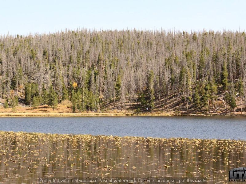 Bridger Lake Campground