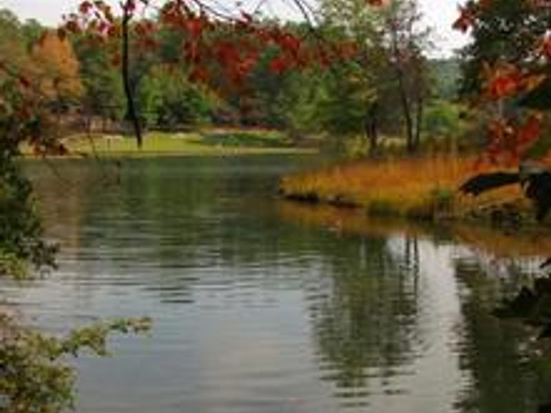 Looking out from Loop A