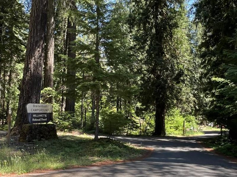 BREITENBUSH CAMPGROUND