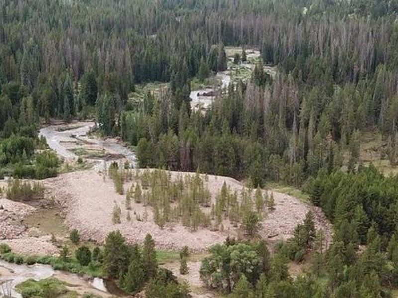 Shady Dell Campground