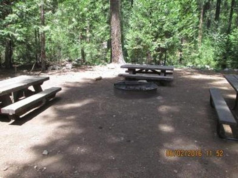 Camp unit 1 fire ring.