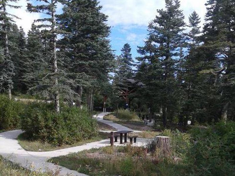Lone table in dispersed picnic area