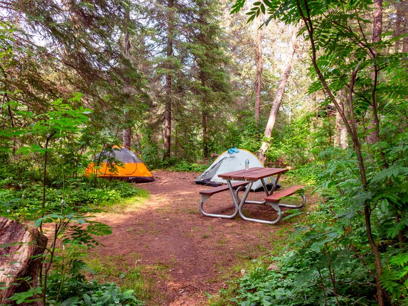 Where will you pitch your tent?