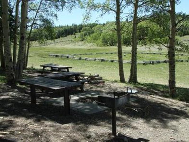 Picnic Area