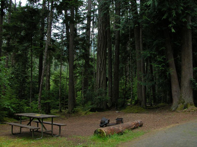 A site at Heart o'the Hills Campground.
