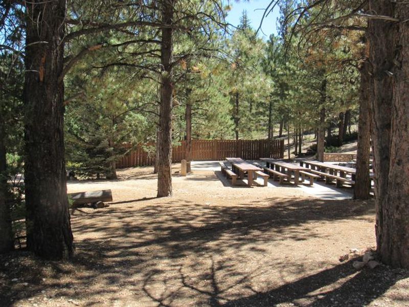 Kings Creek Group Site