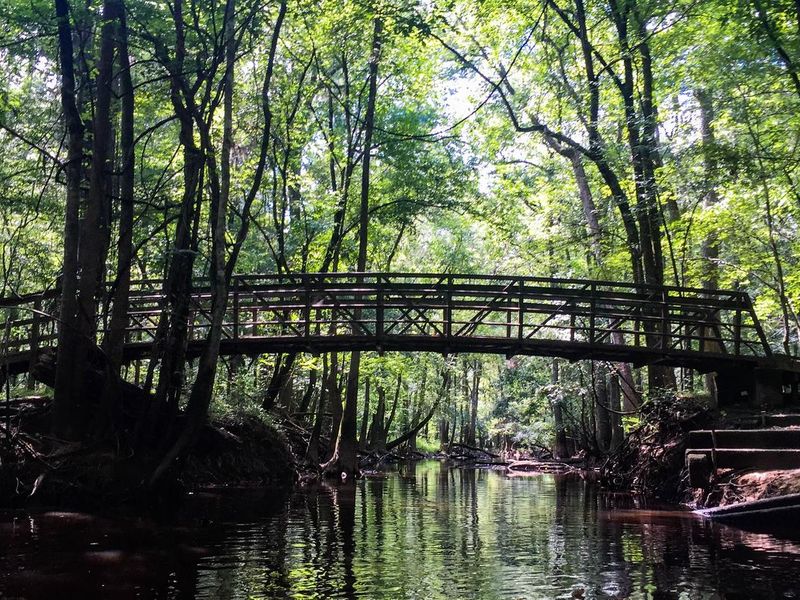 Many paddlers explore the park on the water